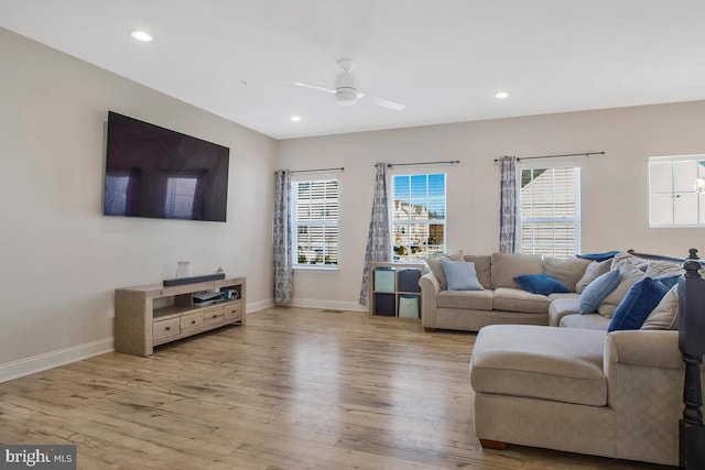 living room with ceiling fan and light wood-type flooring