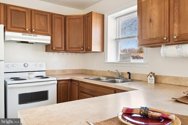 kitchen with sink and white electric range