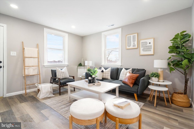 living room featuring hardwood / wood-style flooring