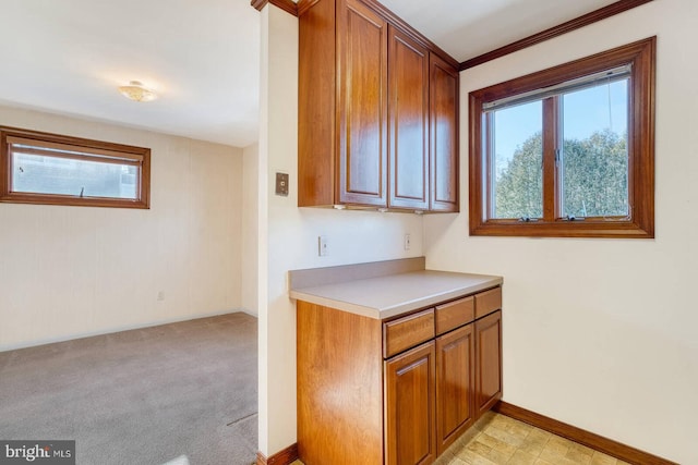 kitchen featuring crown molding and a healthy amount of sunlight