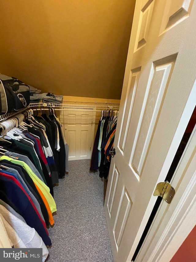 walk in closet with carpet