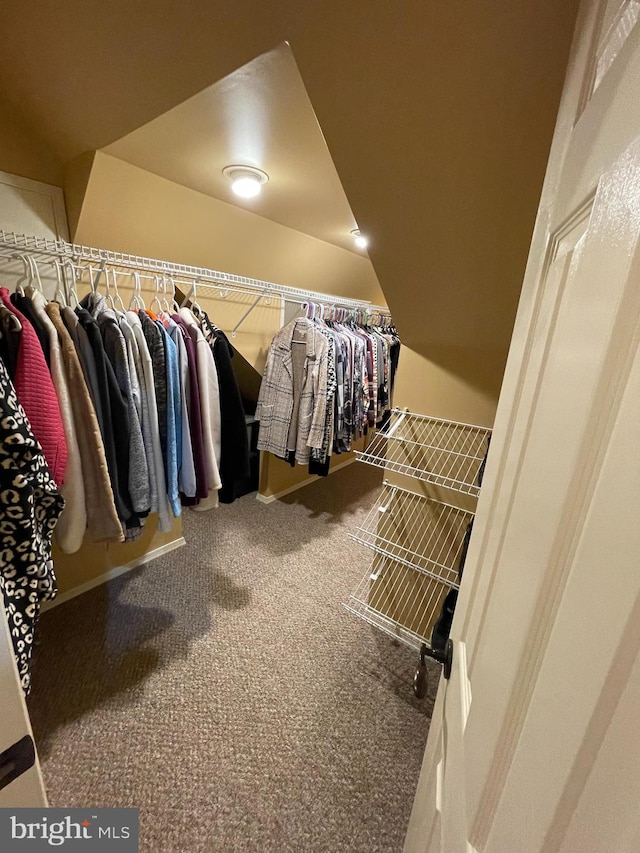 walk in closet with lofted ceiling and carpet flooring