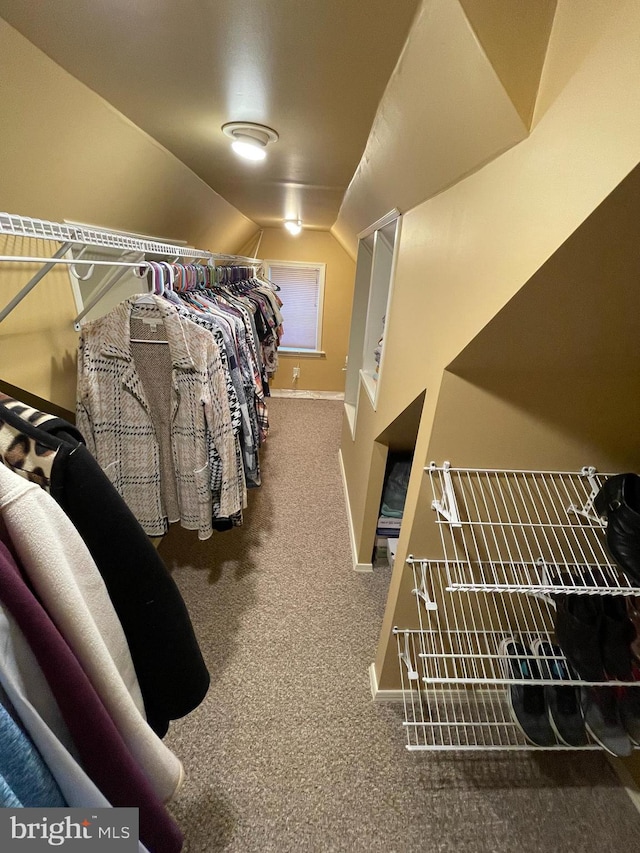 walk in closet with lofted ceiling and carpet floors