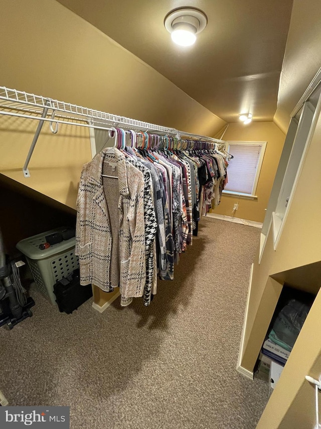 spacious closet featuring carpet flooring and vaulted ceiling