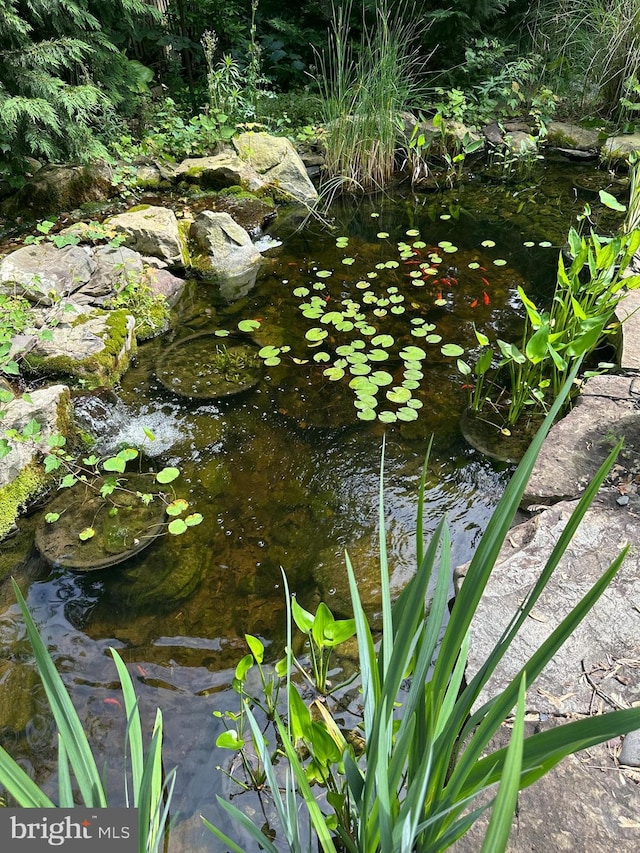 exterior details with a small pond