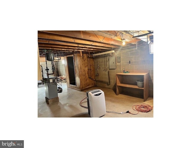 basement with electric panel