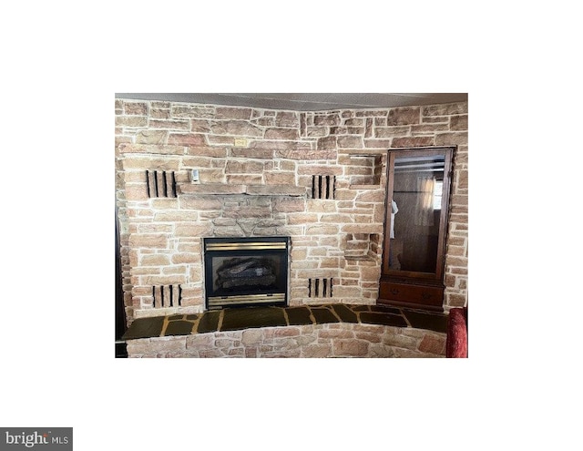 details featuring a stone fireplace