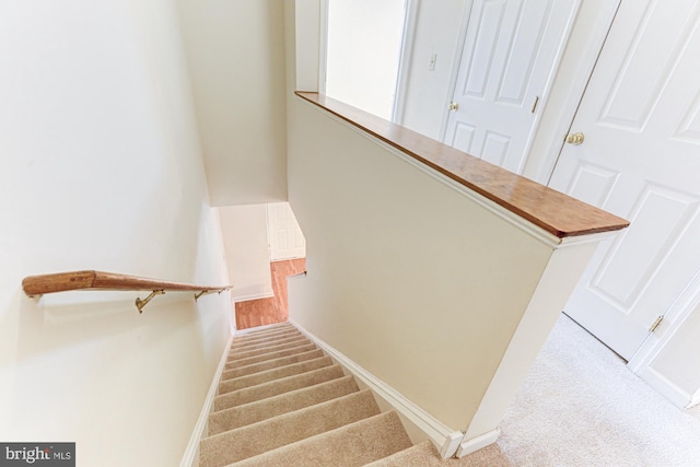 stairway featuring carpet