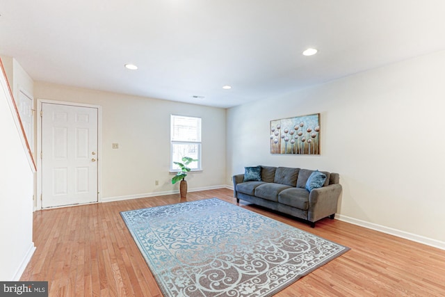 living room with wood-type flooring