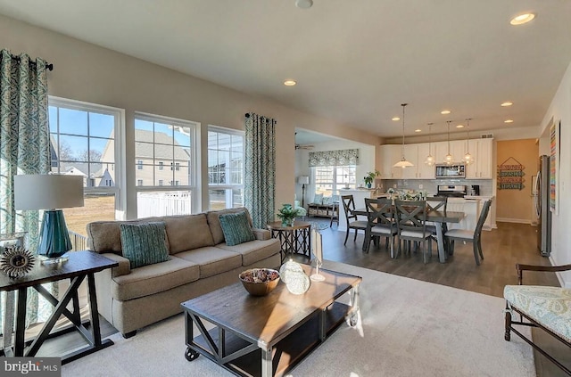 living room featuring hardwood / wood-style flooring