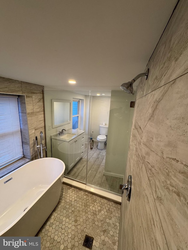 full bathroom with toilet, vanity, and shower with separate bathtub