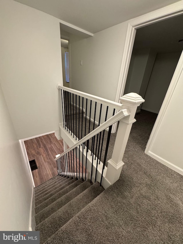 stairway with carpet floors