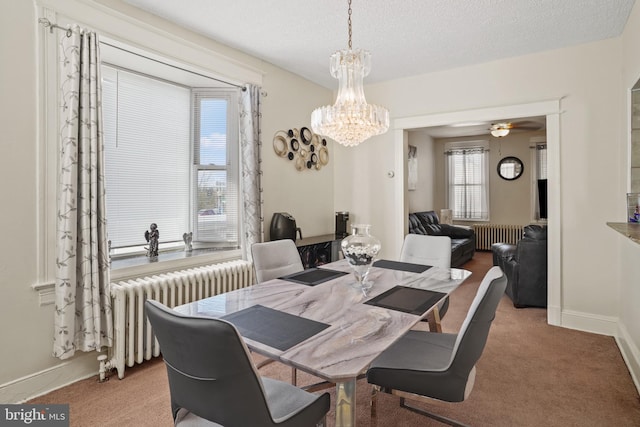 carpeted dining area with ceiling fan with notable chandelier, radiator heating unit, and a textured ceiling