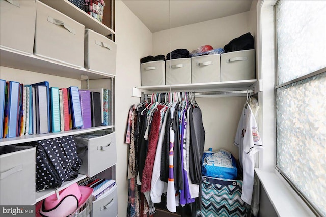 view of spacious closet