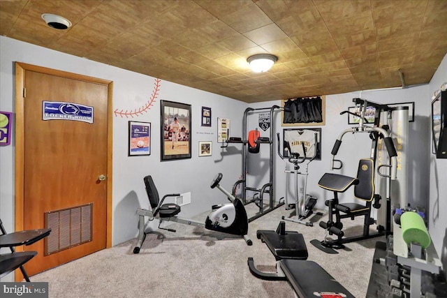 exercise room featuring carpet floors