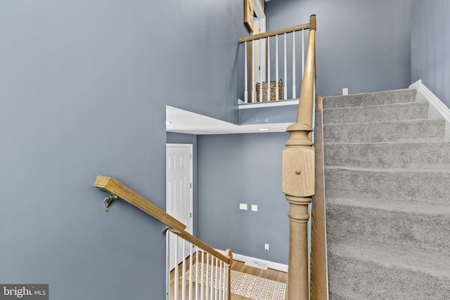 stairway featuring wood-type flooring