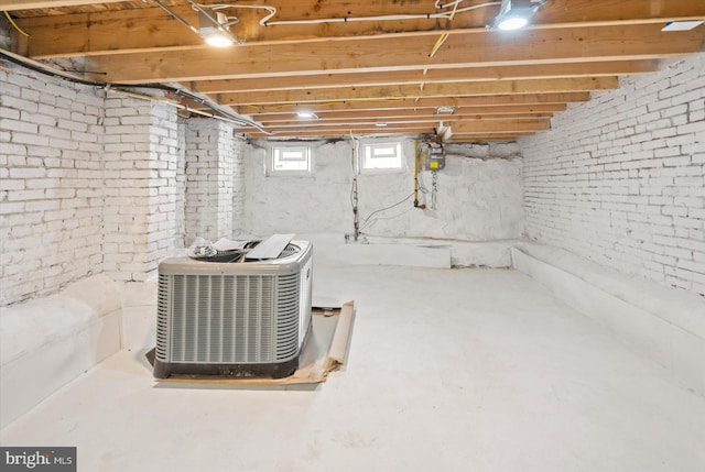 basement with brick wall