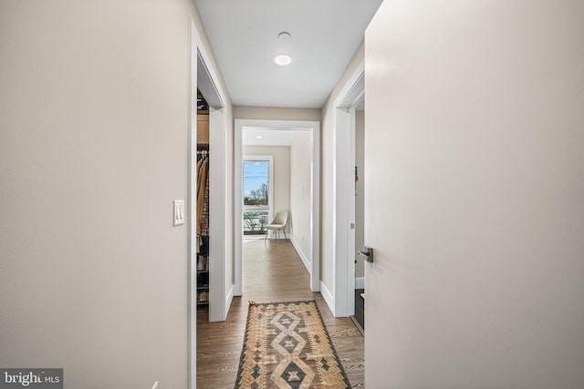 hall featuring wood-type flooring