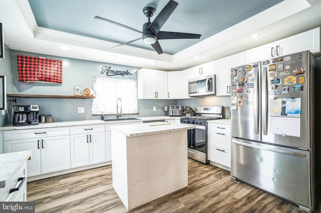 kitchen featuring a raised ceiling, sink, white cabinetry, a center island, and stainless steel appliances