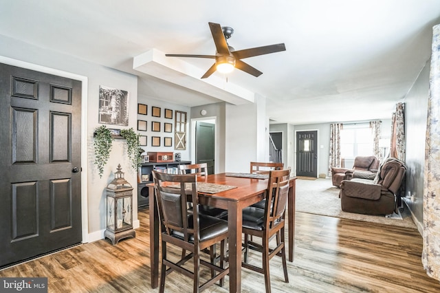 dining room with ceiling fan and wood-type flooring