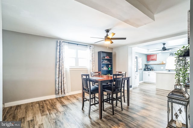 dining room with ceiling fan and light hardwood / wood-style floors