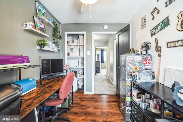 office space featuring ceiling fan and dark hardwood / wood-style floors