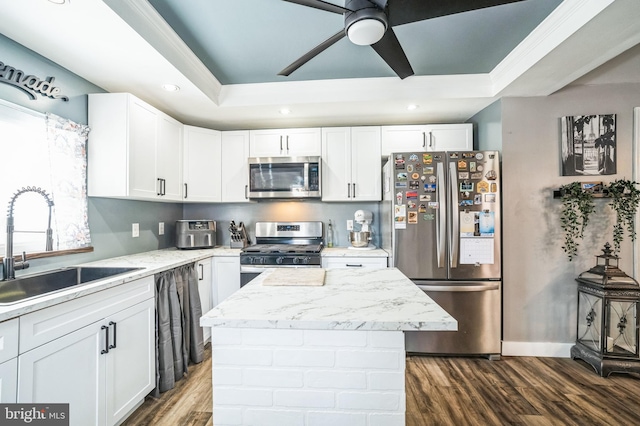 kitchen featuring a center island, appliances with stainless steel finishes, white cabinetry, sink, and a tray ceiling