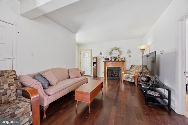 living room with dark hardwood / wood-style floors