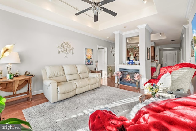 living room with hardwood / wood-style flooring, ceiling fan, crown molding, and a raised ceiling