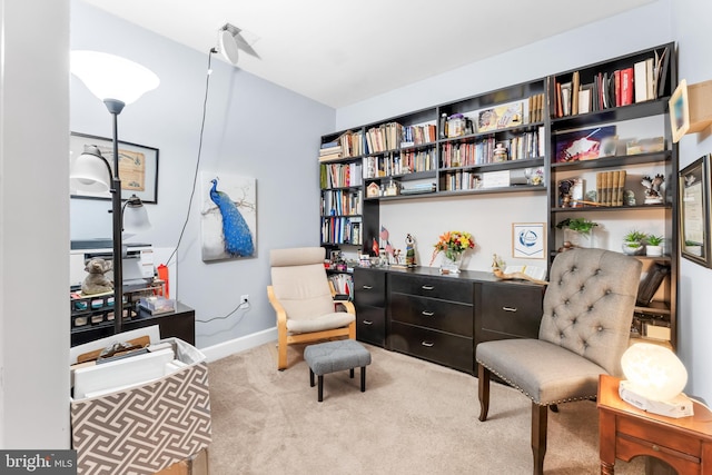 sitting room featuring light carpet