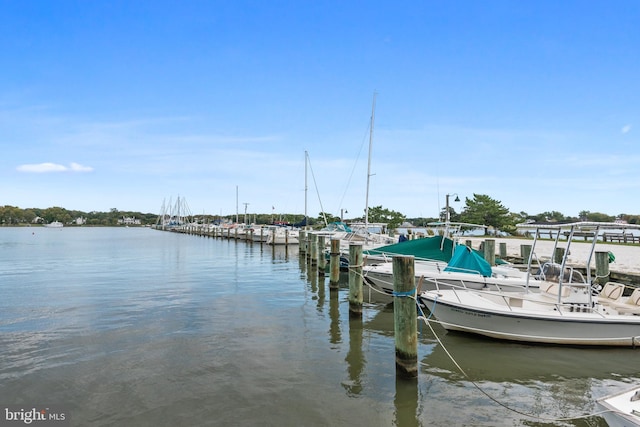 view of dock with a water view