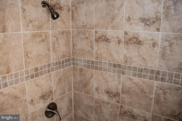 room details with tiled shower