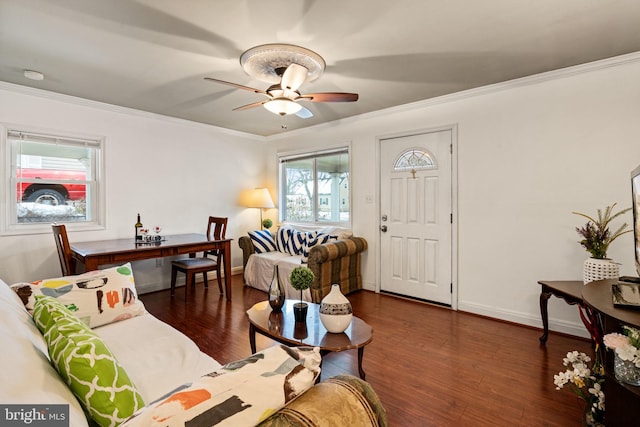 living room featuring ceiling fan, ornamental molding, and dark hardwood / wood-style floors