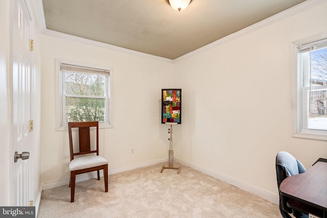 sitting room with a wealth of natural light, light colored carpet, and ornamental molding