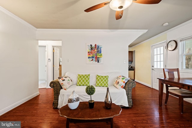 living room with ceiling fan, dark hardwood / wood-style flooring, and crown molding