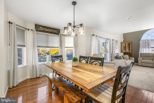 dining space featuring hardwood / wood-style floors