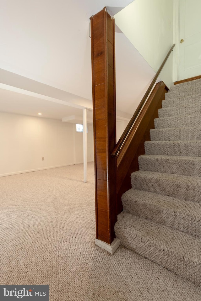 staircase featuring carpet