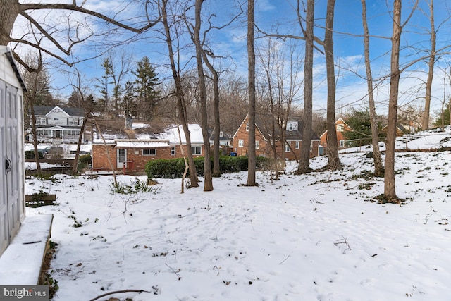 view of yard layered in snow