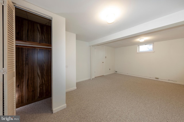 basement featuring carpet