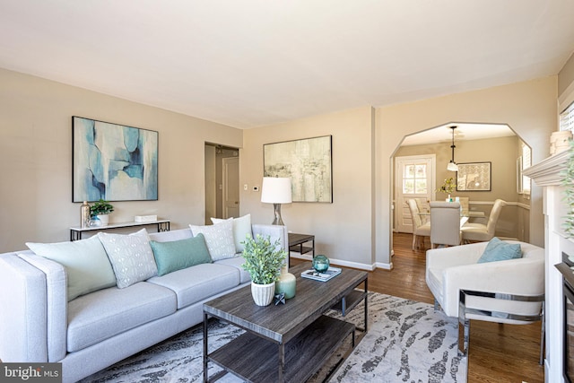 living room with hardwood / wood-style floors