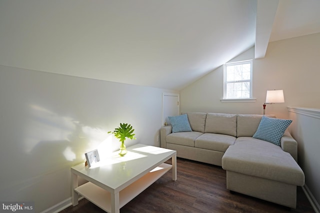 living room with dark wood-type flooring and lofted ceiling