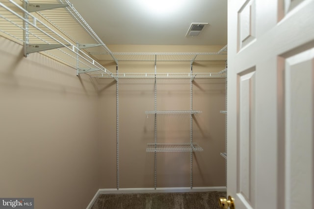 spacious closet featuring carpet floors