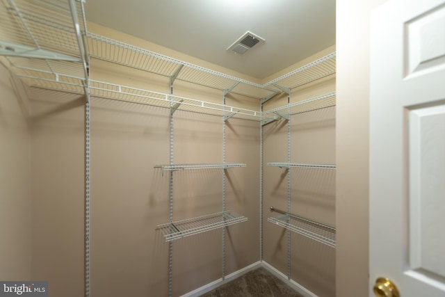 walk in closet with carpet floors