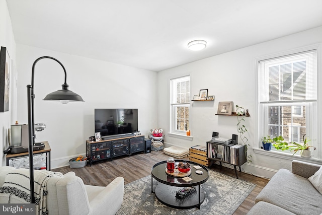 living room featuring wood-type flooring and a healthy amount of sunlight