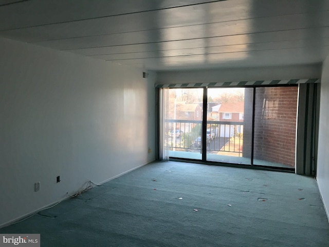 unfurnished room featuring carpet flooring