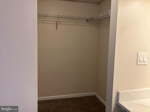 spacious closet featuring carpet flooring