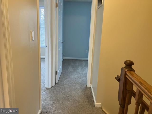 hallway with carpet flooring and a healthy amount of sunlight