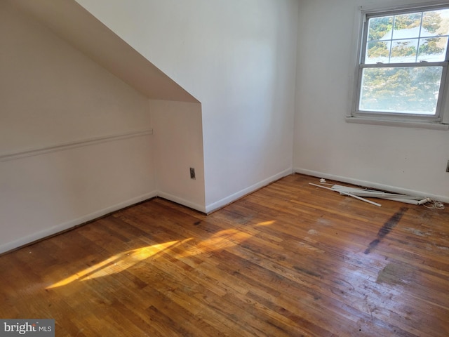 additional living space with wood-type flooring