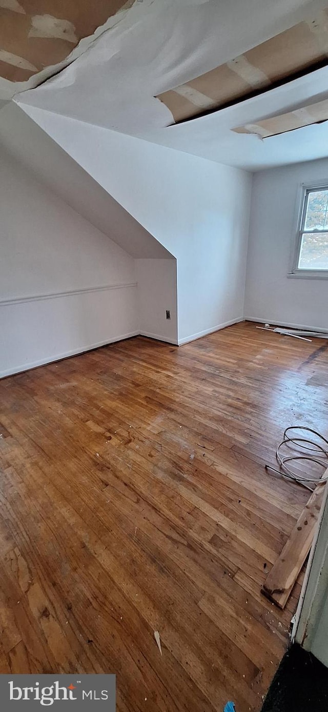 additional living space with hardwood / wood-style flooring