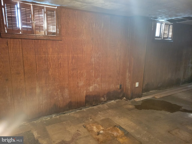 basement featuring wood walls